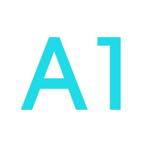 A1 Size