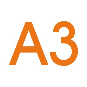 A3 Size
