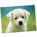 Puzzle Sublimation