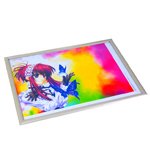 Shutter Frames