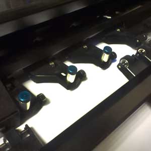 Cutting-Blades